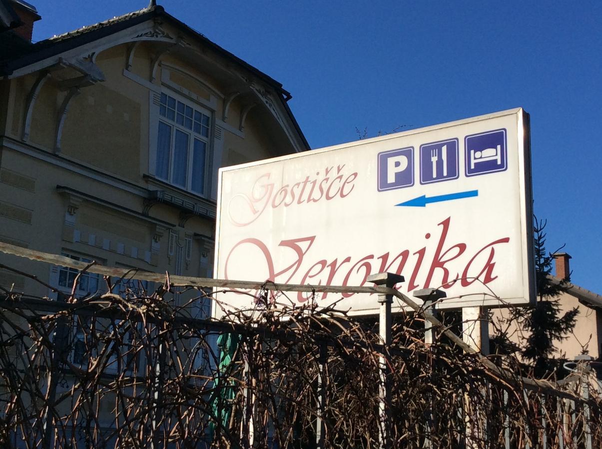 Guest House Veronika Кочевье Экстерьер фото